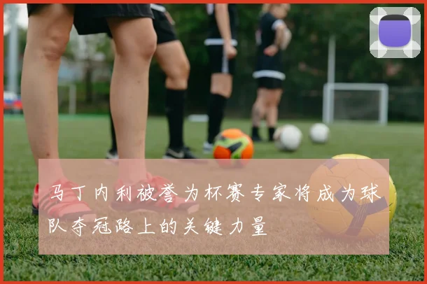 马丁内利被誉为杯赛专家将成为球队夺冠路上的关键力量